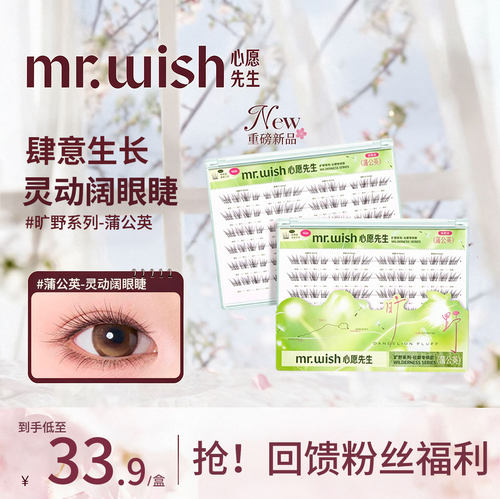 心愿先生旷野系列自然感上睫毛
