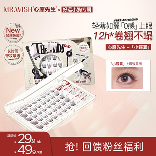 Mr.wish 千金上镜假睫毛 心愿先生免胶小蝶翼清透自然韩式