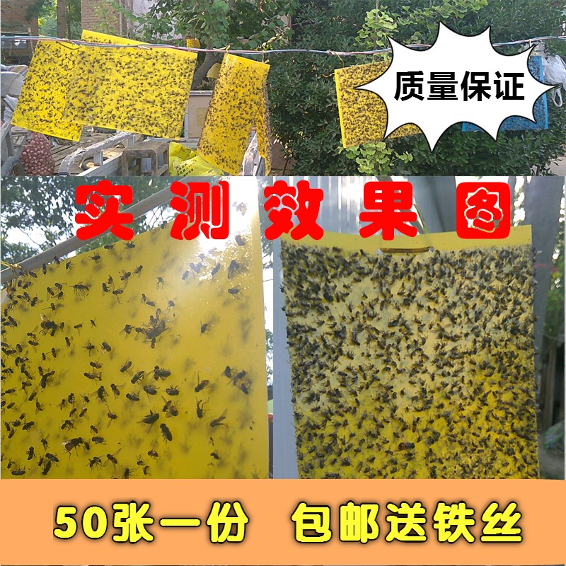 粘虫板黄板双面诱虫板蓝色黏沾杀飞虫板纸贴蔬菜果园果蝇蓟马包邮|ruв категории доставка цветов/цветок моделирования/растения садоводства, садовых принадлежностей, других садовых принадлежностей - от Buy2taobao.com для оказания профессиональной услуги покупки агента Taobao
