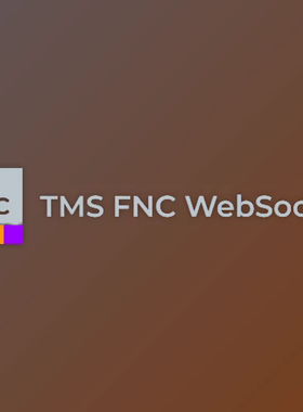 TMS FNC WebSocket v1.0.4.0 for Delphi Full Source