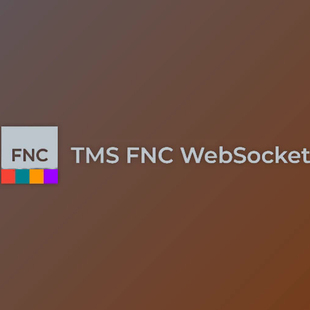 v1.0.4.0 WebSocket FNC Source Delphi Full for TMS