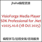 Media for Player VisioForge SDK Professional .Net v2025.10.6