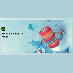 Adobe v4.1.3 Win Dimension