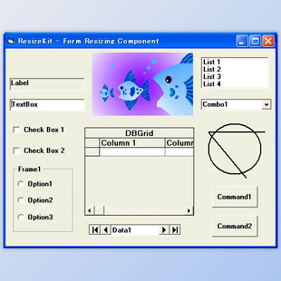 ResizeKit2 for Delphi 7-12 Athens
