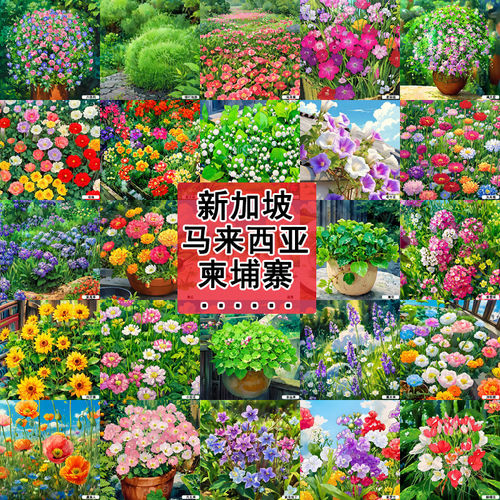 籽种真花盆子栽外国园子园艺造景农场四季创意绿色植非真