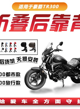 适用豪爵TR300PLUS折叠靠背司机乘客伸缩铝合金腰靠摩托改装配件