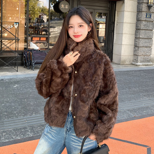 冬季立领仿皮草环保小湖羊皮毛一体大衣女短款小个子外套毛毛上衣