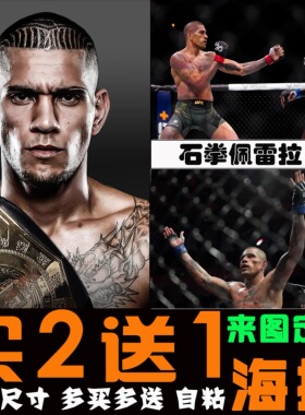 石拳佩雷拉综合格斗拳馆装饰画