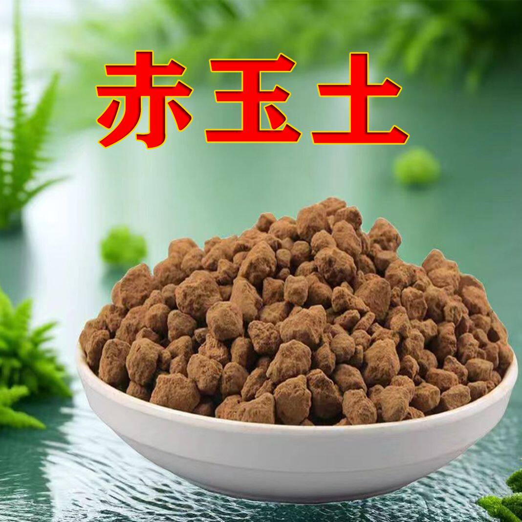 赤玉土君子兰疏松透气