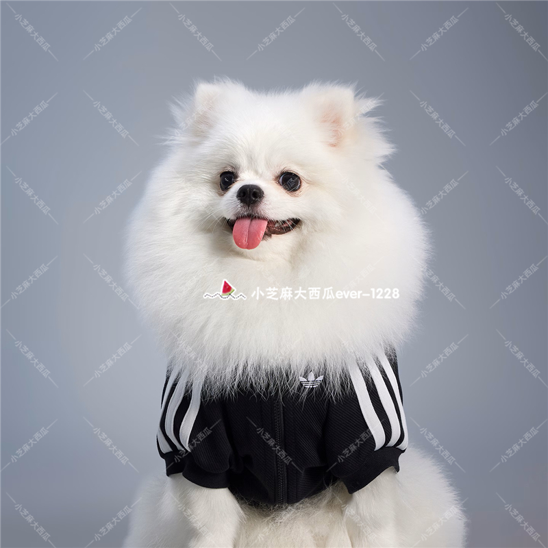adidas三叶草宠物狗狗猫咪衣服