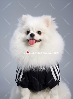 adidas三叶草宠物针织拉链狗狗猫咪衣服HZ6661/6662/6664KU6861