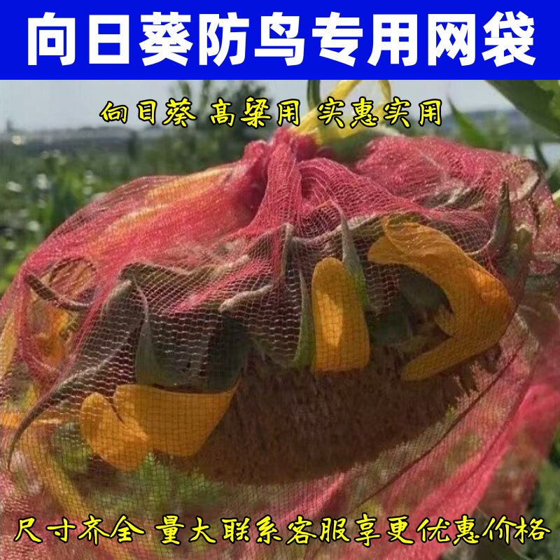 向日葵防鸟罩专用套袋高粱油葵用