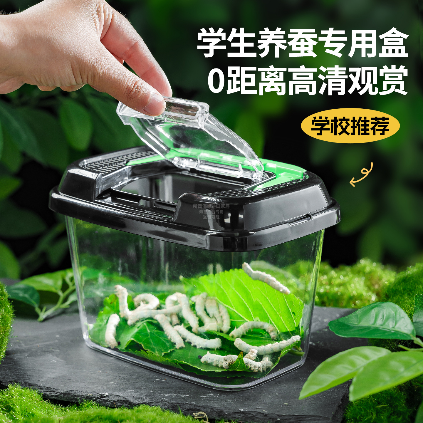 日本进口养蚕箱塑料透明蚕宝宝养育太空舱蚕卵蚕茧成长观察饲养箱