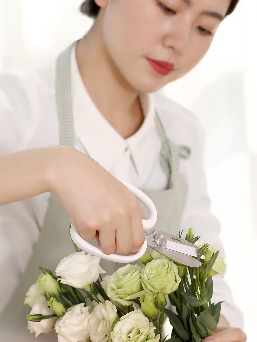 FASOLA 가정용 원예 도구 와이드 헤드 가위 꽃 가위 전정 가위 꽃 가지 치기 가지 가지 치기 꽃 가위