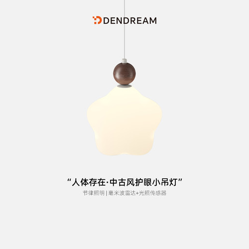 【政府补贴20%】卧室床头小吊灯
