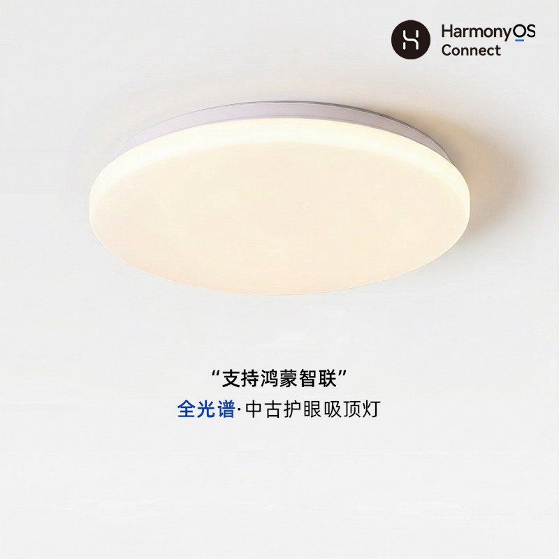 替大家试过了，论实用还是这款灯图片