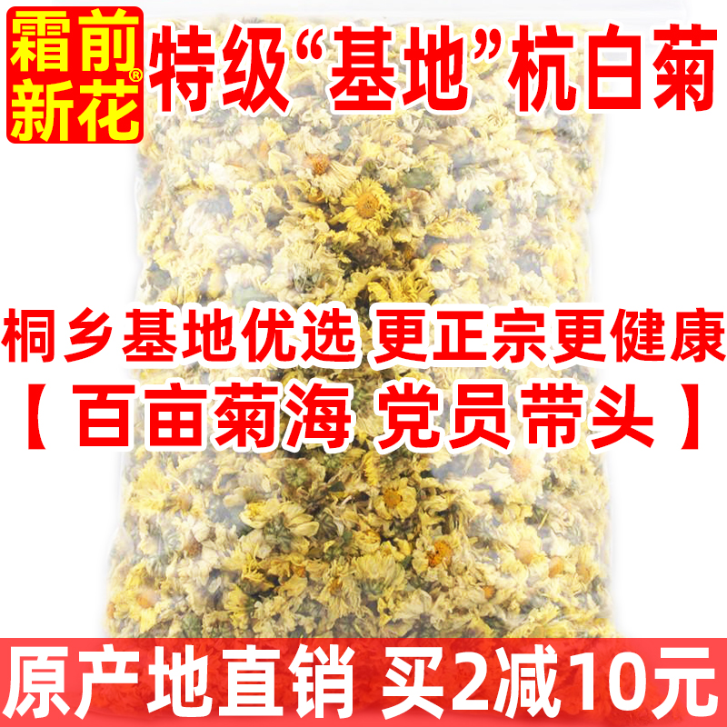 【基地优选】桐乡杭白菊250g特级