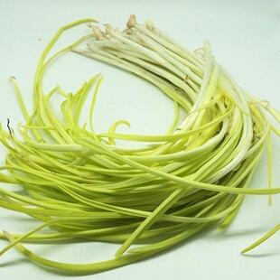 远东春生鲜 新鲜蔬菜 蒜黄 一捆 京津冀满68包邮