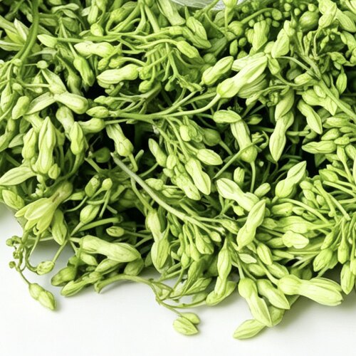远东春生鲜夜香花新鲜蔬菜顺丰