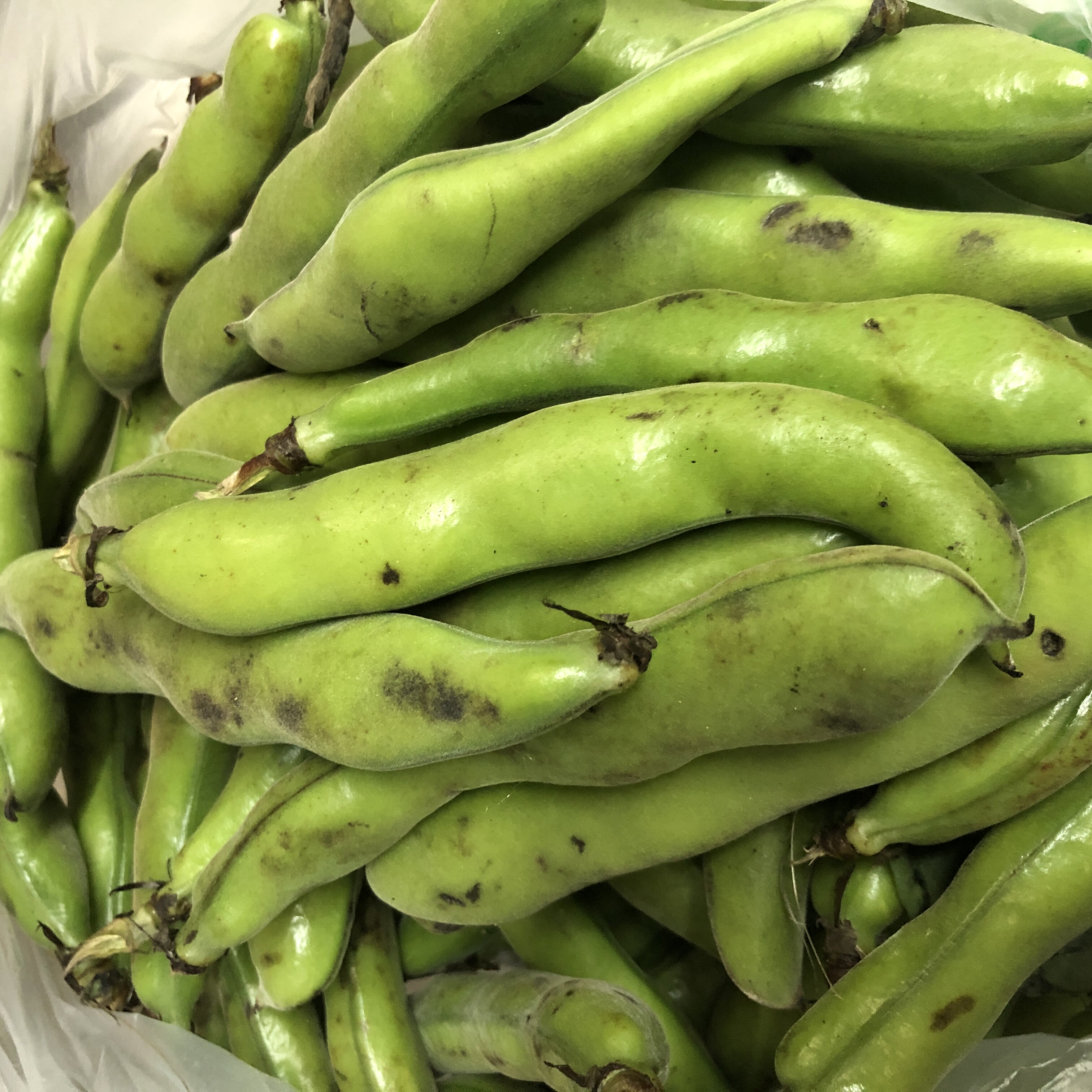 远东春生鲜 新鲜蔬菜 蚕豆 带壳  京津冀满68包邮顺丰