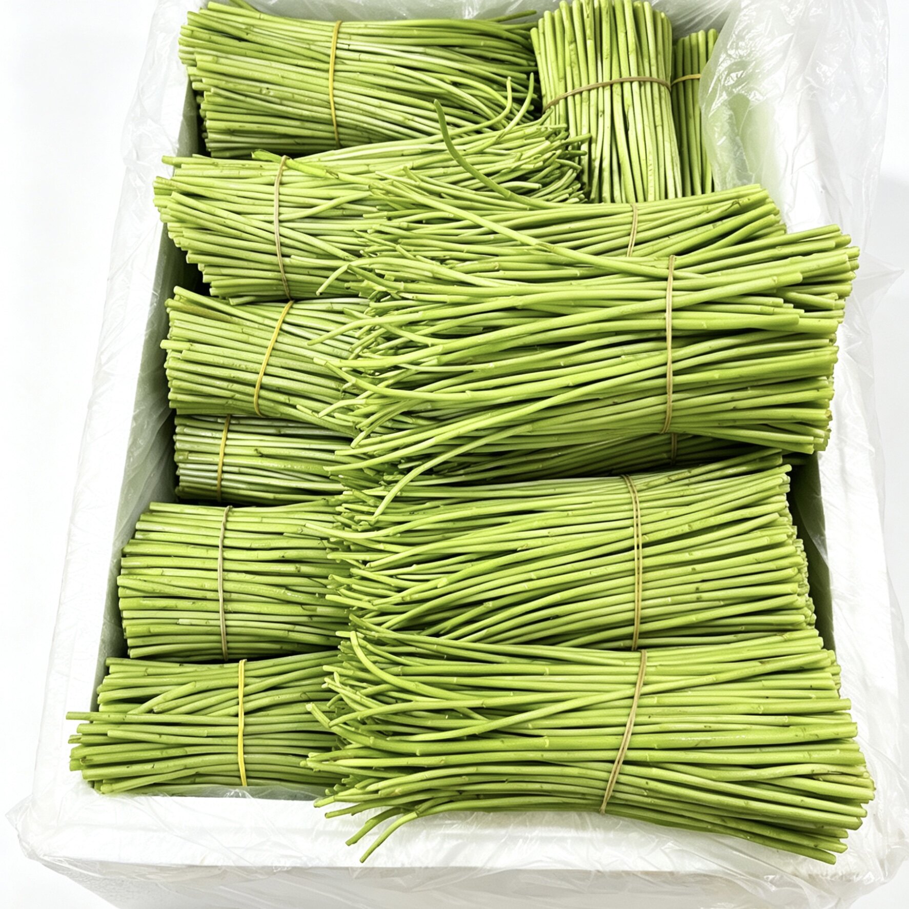 潇潇生鲜 新鲜蔬菜 芦蒿 泥蒿 京津冀满68包邮