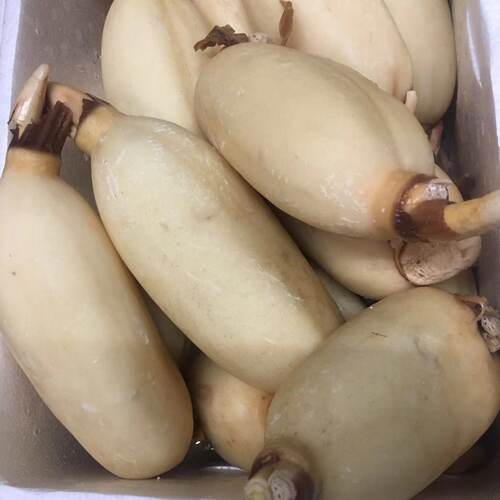 远东春生鲜新鲜蔬菜装莲藕京津冀