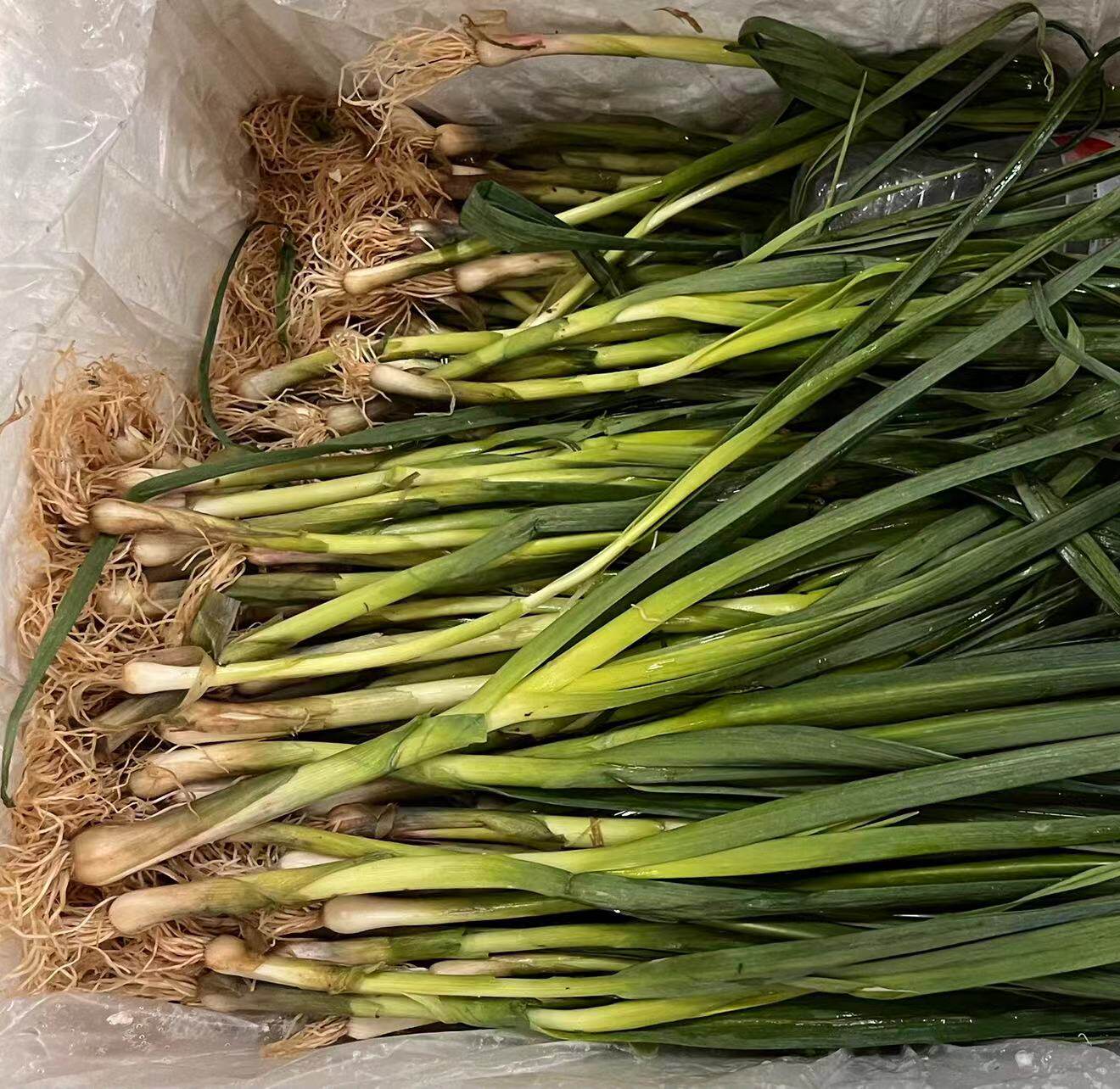 远东春生鲜 新鲜蔬菜 湖北 农其它