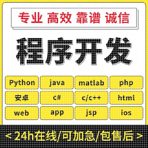 计算机JAVA代码编写python代编程序C++设计C语言代做c#开发vb接单