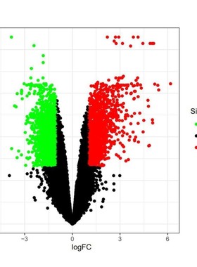 GEO,TCGA数据库挖掘,差异基因分析,火山图及热图制作