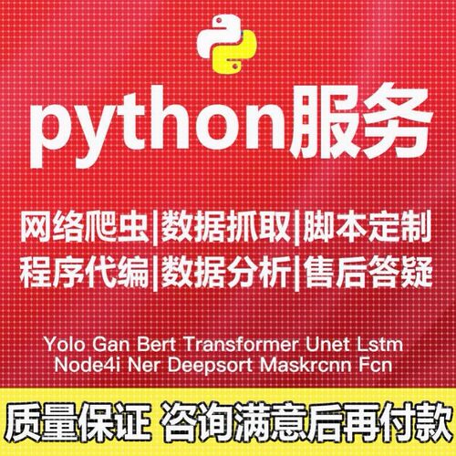 python代编程深度学习算法创新数据可视化代码调试指导答疑定制