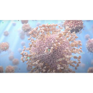 专业医学科研绘图3D建模手术图科普基金SCI机制(北医博士团队)