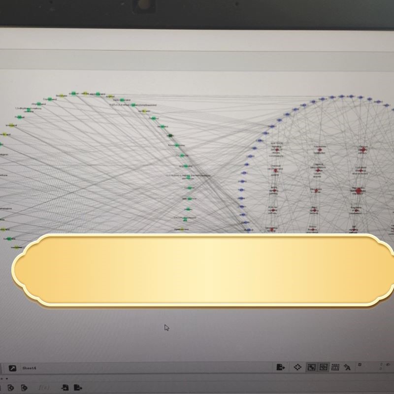 网络药理学，可筛选药物成分靶点，需要的私聊。