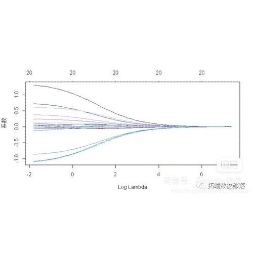 机器学习筛选关键基因LASSO GBM SVM-RFE XGboost
