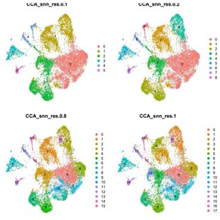 生信分析 转录组 基因组 细胞实验 PCR WB 中介孟德尔 单细胞测序