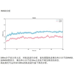 分子动力学模拟/分子动力学计算/分子动力学服务(蛋白-蛋白/蛋白