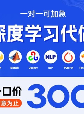 python代编程序机器深度学习代码指导问题解决调试代做作编写接单