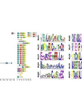 生信制图网络药理学SCI整套生信分析服务