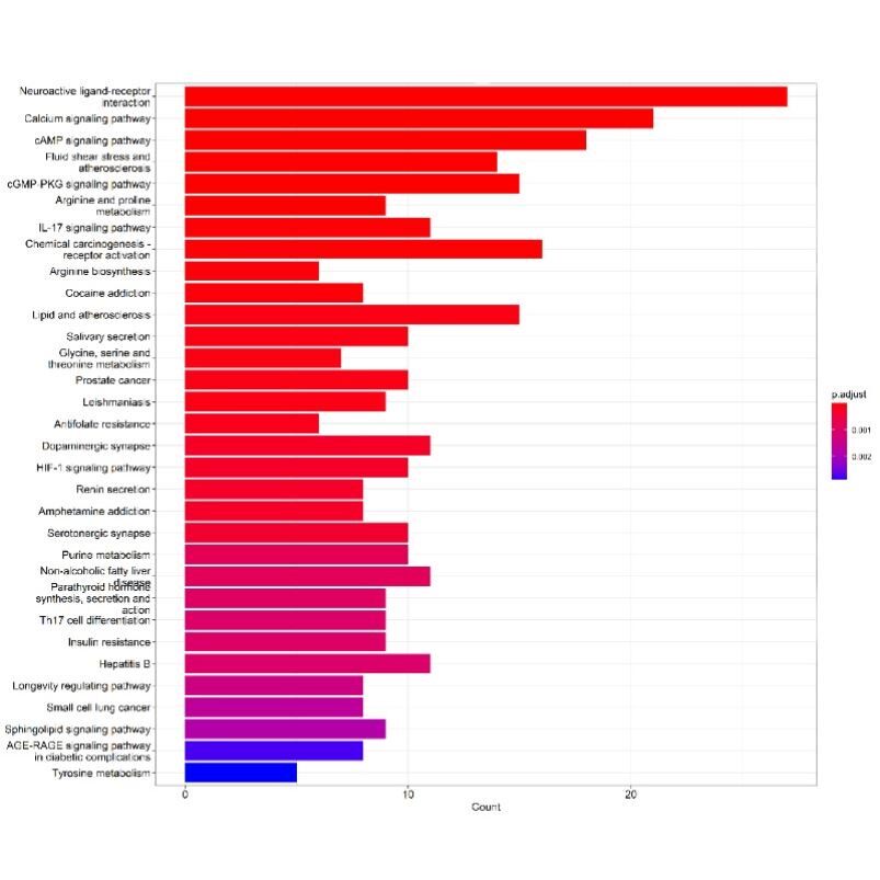 网络药理学SCI文章发表视频教程选题预测药物作用靶点验证实操