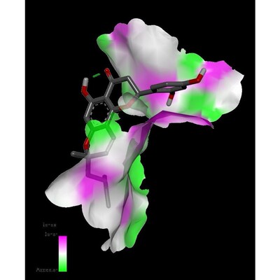 分子对接/服务顾客超500位/虚拟筛选/分子动力学模拟/春节不打烊
