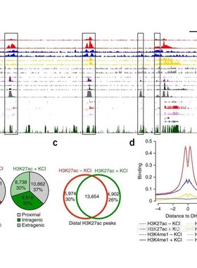 ChIPseq/CUTtag/RIPseq分析,会议进行结果讲解