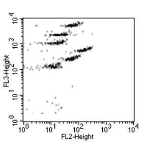 流式细胞周期 细胞凋亡 ROS活性氧 FCAP细胞因子分析
