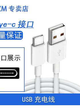 ACZM适用森海赛尔CX400TW1充电线type-c接口无线蓝牙耳机大馒头充