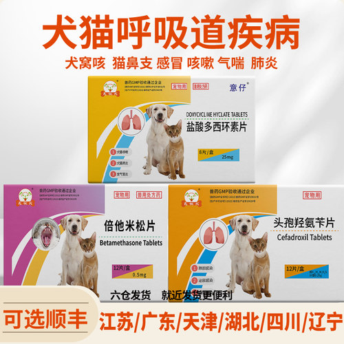 头孢羟氨苄片犬猫用消炎药感冒