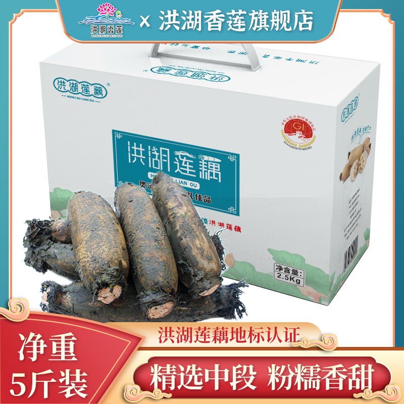 湖北特产粉藕洪湖莲藕现挖新鲜