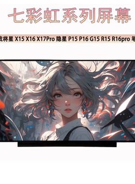 七彩虹将星X15 X16 X17Pro隐星P15 P16 G15 R15 R16pro笔记本屏幕