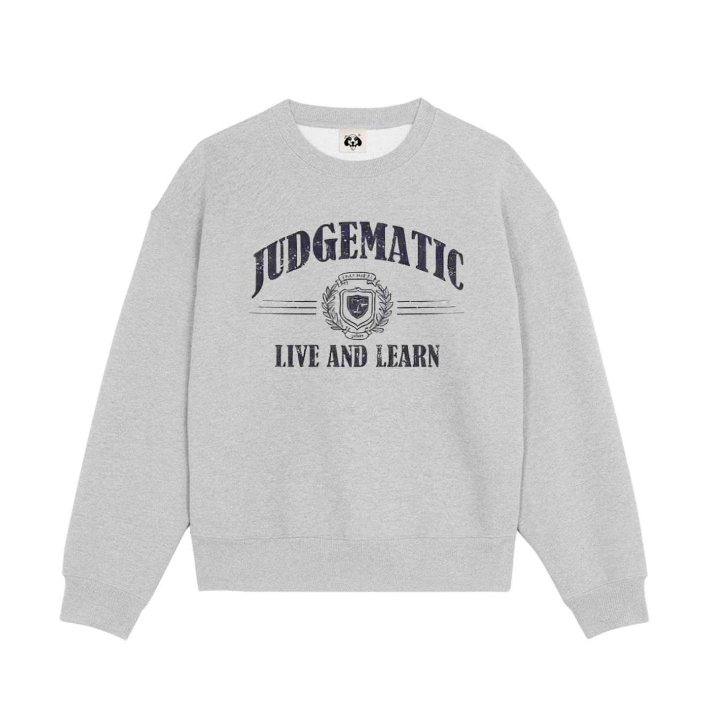 BGPUSK金智妮jennie同款宽松慵懒风灰色圆领卫衣女2025秋冬新款