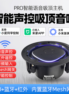 升级重音版Pro智能语音吸顶音响小爱同学ai点歌蓝牙音箱家居控制