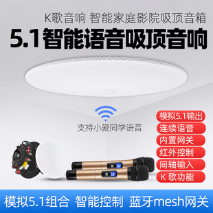 定制模拟5.1家庭影院K歌吸顶音响小爱同学智能语音控制家居系统