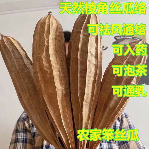 正宗八角棱丝瓜络超长老丝瓜新鲜丝瓜瓤洗碗带皮 丝瓜络带皮 带籽
