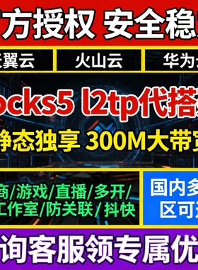 sk5搭建独立天翼云主机l2tp静态纯净游戏搬砖工作室socks5火山云